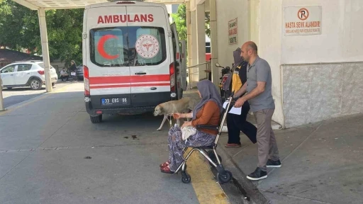 Mantar yiyen 7 kişi zehirlenme ş&uuml;phesiyle hastaneye kaldırıldı
