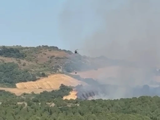 Manyas’ta orman yangını: Havadan müdahale sürüyor
