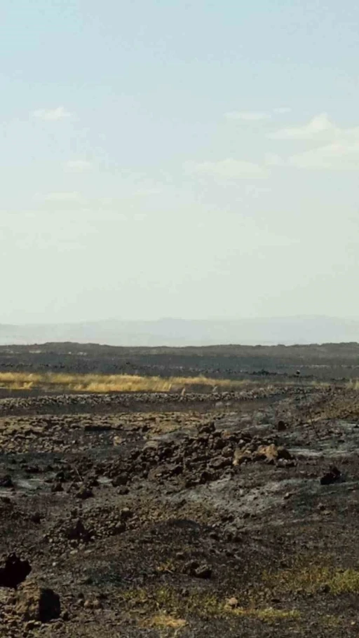 Mardin&rsquo;de &ccedil;ıkan anız yangını s&ouml;nd&uuml;r&uuml;ld&uuml;
