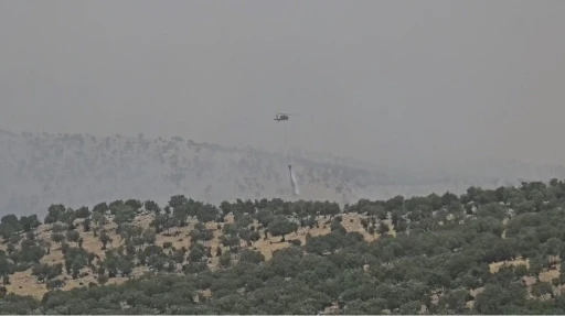 Mardin’de çıkan orman yangını kontrol altına alındı
