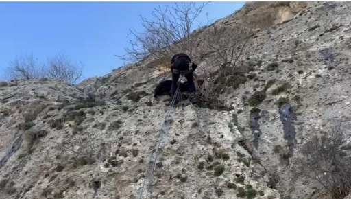 Mardin&rsquo;de dağda mahsur kalan ke&ccedil;iyi AFAD ekipleri kurtardı
