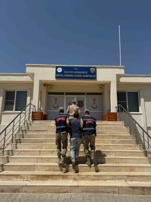 Mardin’de hayvanlara ilişkin uygunsuz paylaşım yapan şahıs gözaltına alındı
