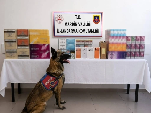 Mardin&rsquo;de ka&ccedil;ak t&uuml;t&uuml;n operasyonunda 2 g&ouml;zaltı
