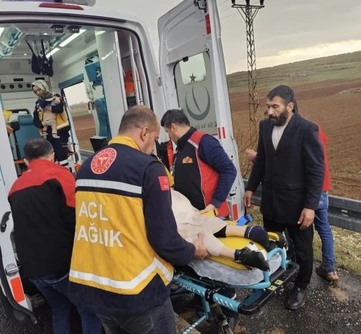 Mardin’de kamyonet tarlaya devrildi: 3 yaralı
