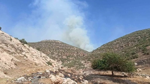 Mardin’de orman yangını

