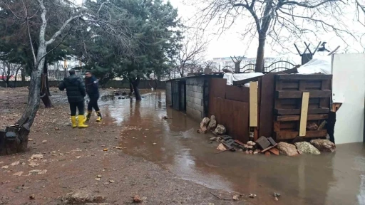 Mardin&rsquo;de su basan k&uuml;meste 5 tavuk telef oldu
