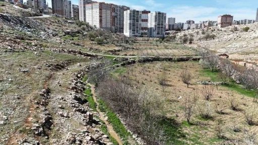 Mardin’de yılların sorunu çözüme kavuşturuluyor
