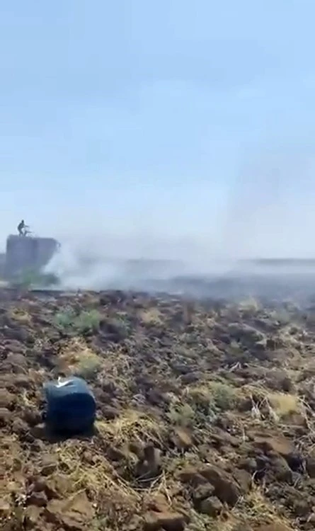 Mardin&rsquo;deki anız yangını kontrol altına alındı
