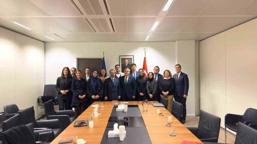 Mardin&rsquo;den Br&uuml;ksel&rsquo;e uzanan başarı hikayesi
