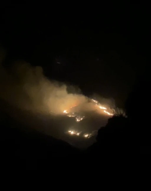 Marmara Adası’nda arazi yangını başladı
