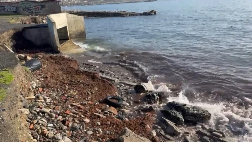 Marmara&rsquo;daki fırtına Tekirdağ kıyılarını kızıl yosunla s&uuml;r&uuml;kledi
