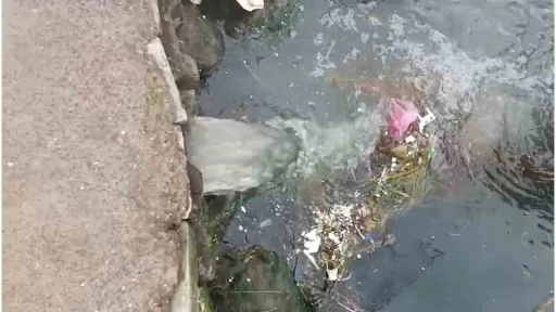 Marmara Denizi’nde kirliliğe neden olan Çınarcık Belediyesi’ne 1,3 milyon lira ceza
