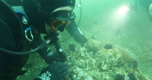 Marmara Denizi&rsquo;ne kıyı kentlerin Belediye Başkanlarına dalış &ccedil;ağrı
