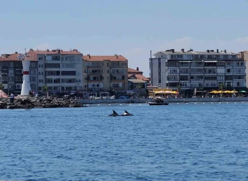 Marmara&rsquo;nın s&uuml;rpriz misafirleri: İki yunus teknenin yanında g&ouml;r&uuml;nt&uuml;lendi
