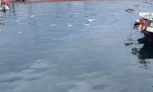 Marmaris Balıkçı Barınağında Mazot Sızıntısı Alarmı