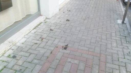 Marmaris Sokakları A&ccedil;ık Hava Tuvaletine D&ouml;nd&uuml;: Vatandaşlar Tepkili