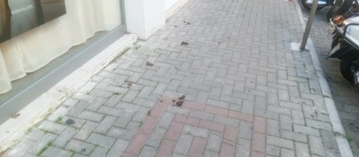 Marmaris Sokakları A&ccedil;ık Hava Tuvaletine D&ouml;nd&uuml;: Vatandaşlar Tepkili