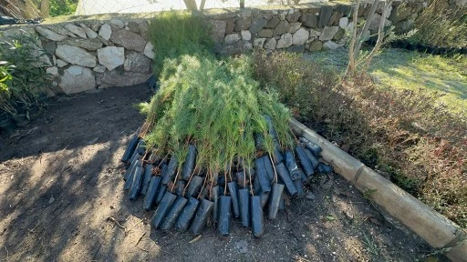 MARMARİS&rsquo;TE YENİDEN MAVİ İLE YEŞİLİ BULUŞTURMAK İ&Ccedil;İN YOĞUN &Ccedil;ABA 