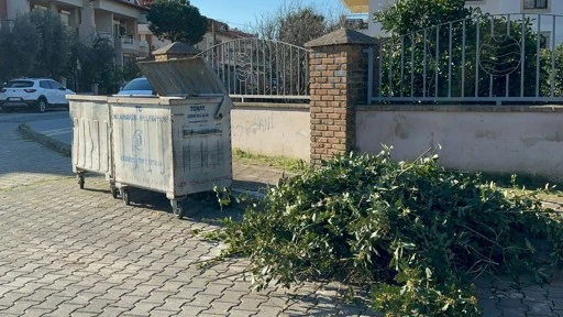 MARMARİS&rsquo;TE &Ccedil;EVRE ALARM VERİYOR