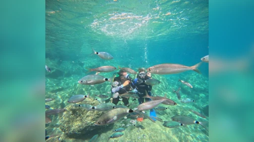 Marmaris Dalış Turizminde Parlıyor
