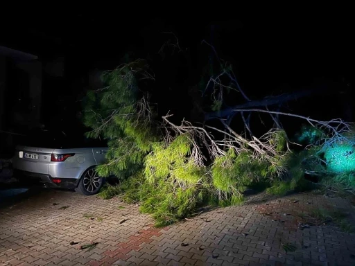 Marmaris&rsquo;te fırtına ağa&ccedil; devirdi: 1 kişi yaralandı
