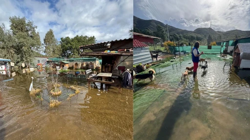 Marmaris&rsquo;te Vicdanlar Sular Altında