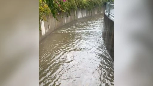    NEREDEN GELİYOR BU YAĞ VE KOKU?