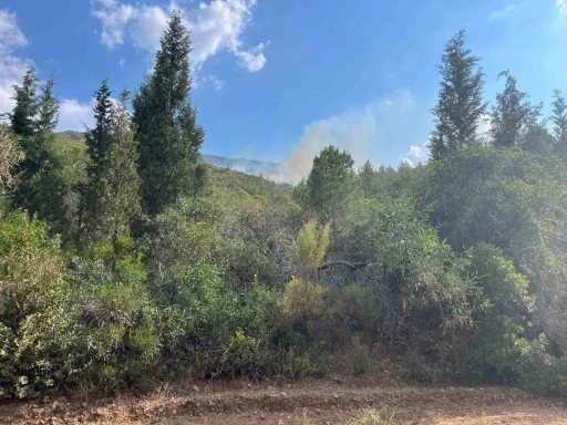 Marmaris&rsquo;te yıldırım kaynaklı orman yangını
