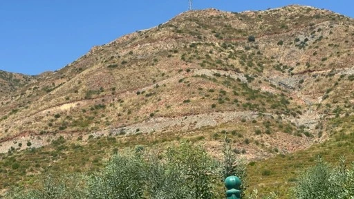 Marmaris Yangınlarının 4. Yılı