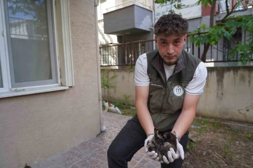 Mazgalda sıkışan kedi yavruları kurtarıldı