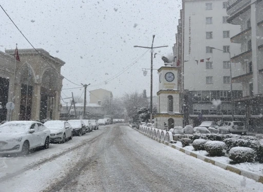 Mazıdağı&rsquo;nda mart ayında kar yağışı etkili oldu
