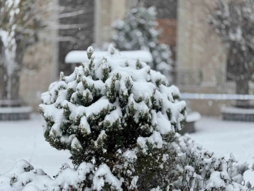 Mazıdağı&rsquo;nda yoğun kar yağışı ve tipi etkili oluyor
