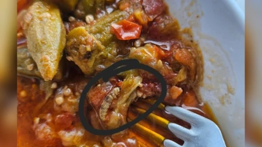 MEAH Yemekhanesinde Kurt Şoku