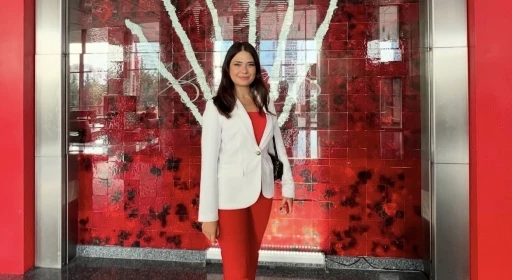 Meclis &uuml;yesini sıkıştırıp, aracı yumrukladı&hellip; O anlar kameraya yansıdı
