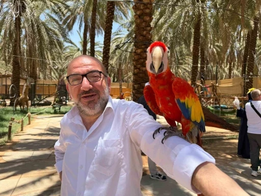 Medine&rsquo;de papağanlar hacı ve umrecilerin ilgi odağı oldu
