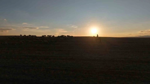 Medya dünyasından hayvancılığa: İstanbul stresini bırakıp köyde huzuru buldu
