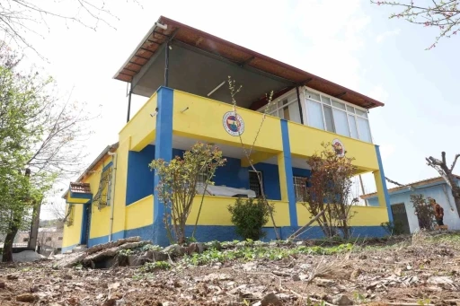 Mehmet dedenin sarı-lacivert evi gündem oldu
