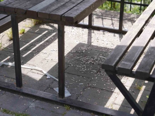 Melen Su Park&rsquo;ta utandıran manzara
