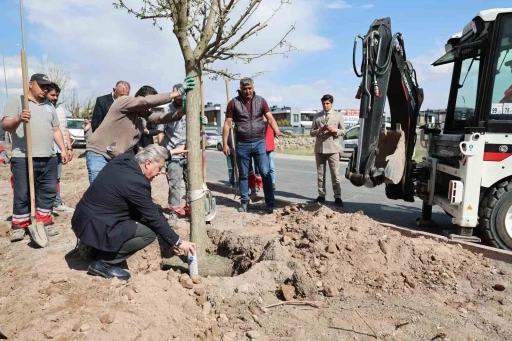 Melikgazi, ağa&ccedil;landırma &ccedil;alışmaları ile geleceğe daha yeşil bir miras bırakıyor
