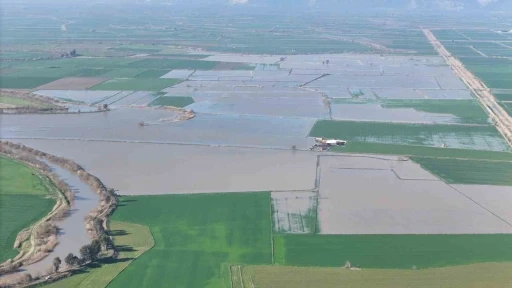 Menderes taştı, y&uuml;zlerce d&ouml;n&uuml;m sular altında kaldı
