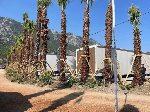 Menteşe Belediyesi Kaçak Yapılaşmaya Savaş Açtı