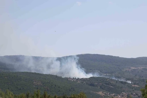 Menteşe’de çıkan yangın kontrol altına alındı
