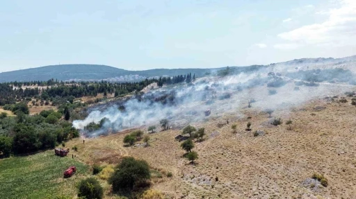 Menteşe&rsquo;deki makilik yangını kontrol altına alındı
