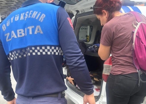 Menteşe otogarında sağlıksız tavuk döner ele geçirildi
