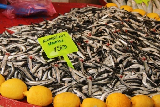 MENTEŞE PAZARINDA HAMSİ UCUZLADI