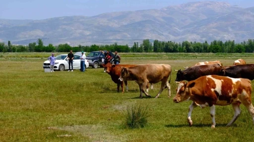 Meralarda su arama çalışmaları yapılıyor
