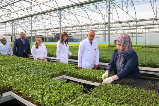Meram Belediyesinin Konya &ccedil;ift&ccedil;isine b&uuml;y&uuml;k desteği, Konya Fide&rsquo;de yeni sezon satışları başladı

