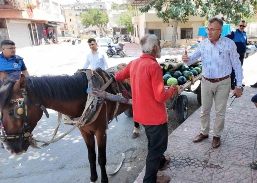 Mersin&rsquo;de bitkin d&uuml;şen at yeni yuvasına kavuştu
