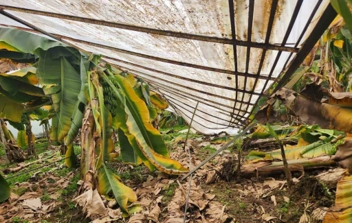 Mersin&rsquo;de dolu sera &ccedil;&ouml;kertti, bah&ccedil;elere zarar verdi
