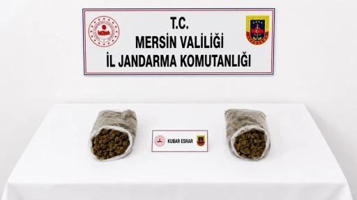 Mersin&rsquo;de jandarmadan uyuşturucu operasyonu: 2 tutuklama
